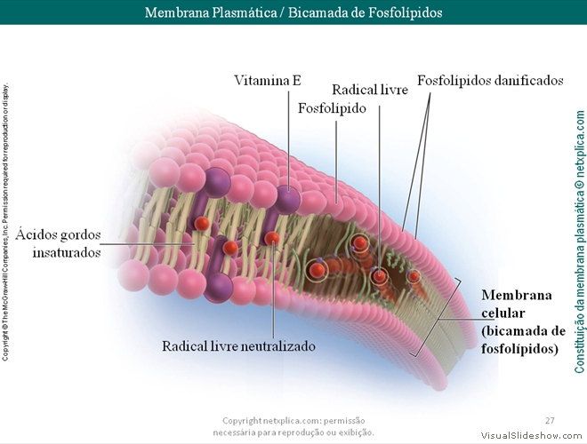 Diapositivo27