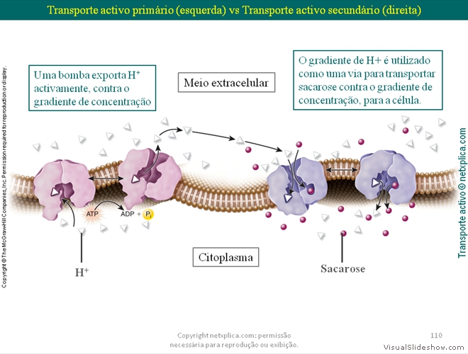 Diapositivo110