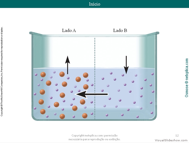 Diapositivo12