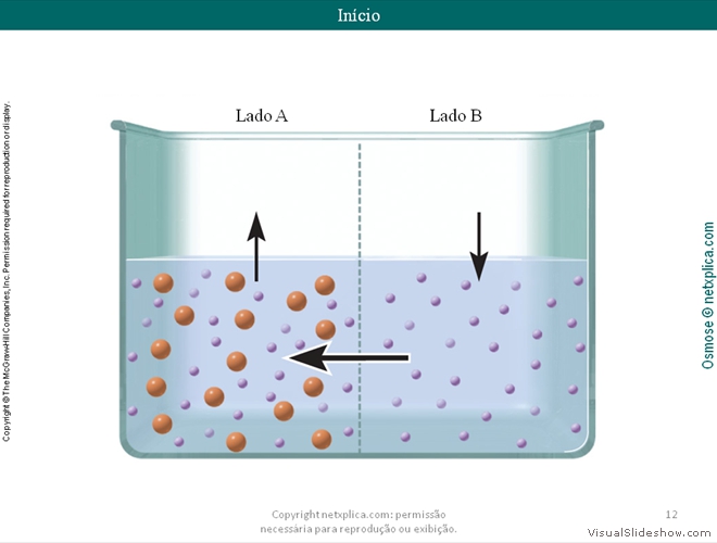 Diapositivo12