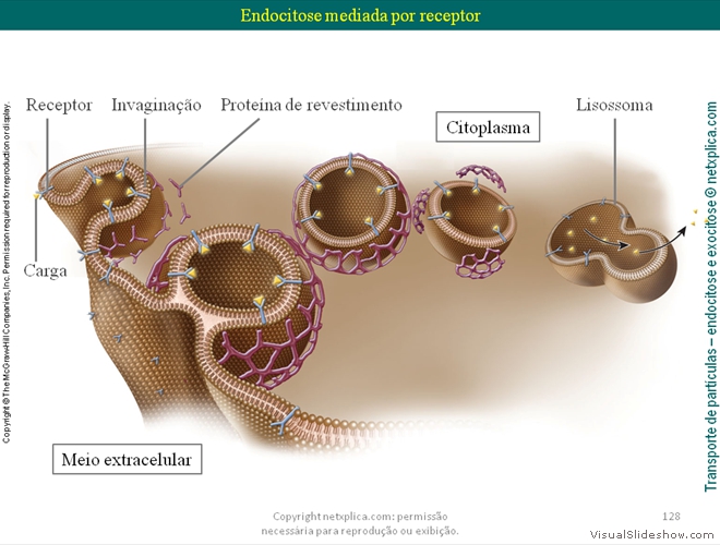 Diapositivo128