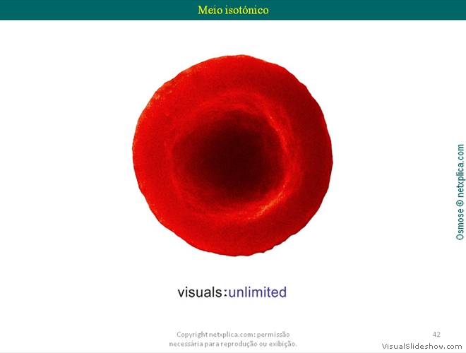 Diapositivo42