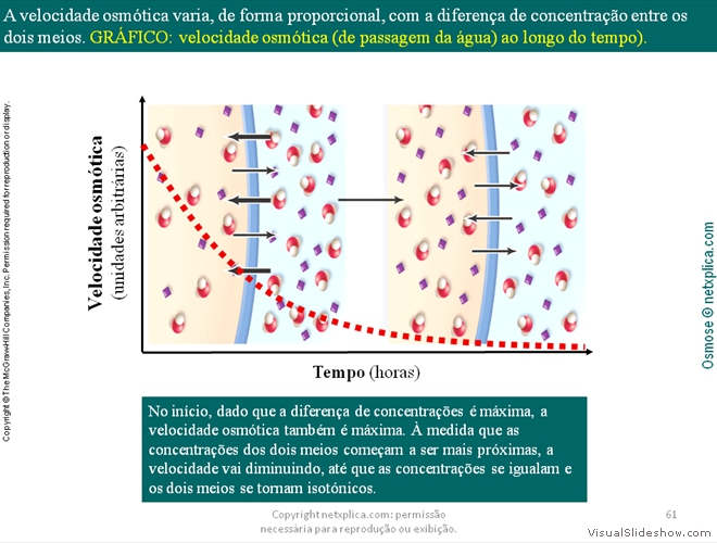 Diapositivo61