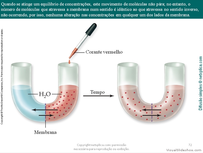 Diapositivo72