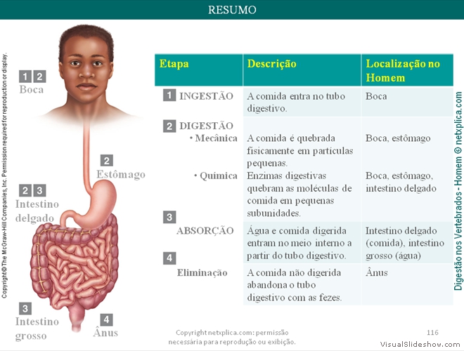 Diapositivo116