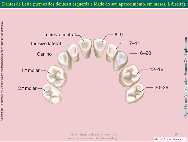 Diapositivo25