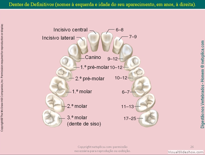 Diapositivo26