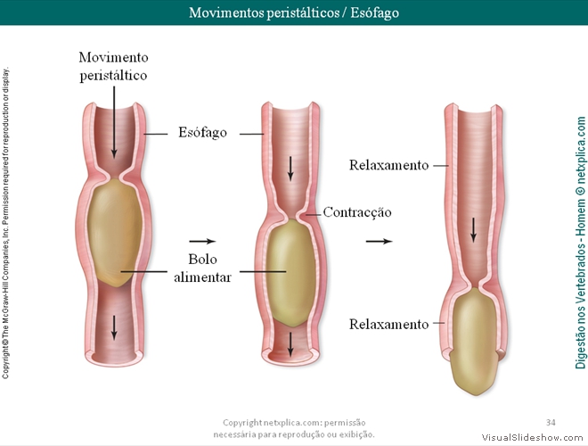 Diapositivo34