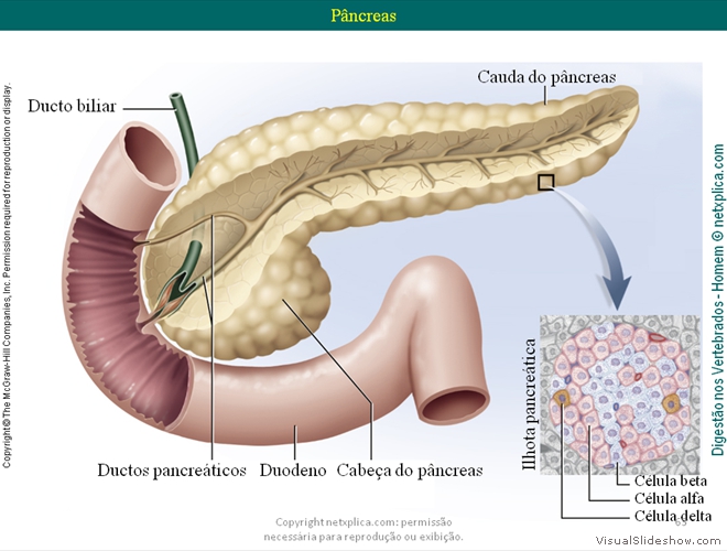 Diapositivo63