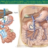 Diapositivo119