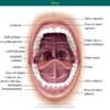 Diapositivo21