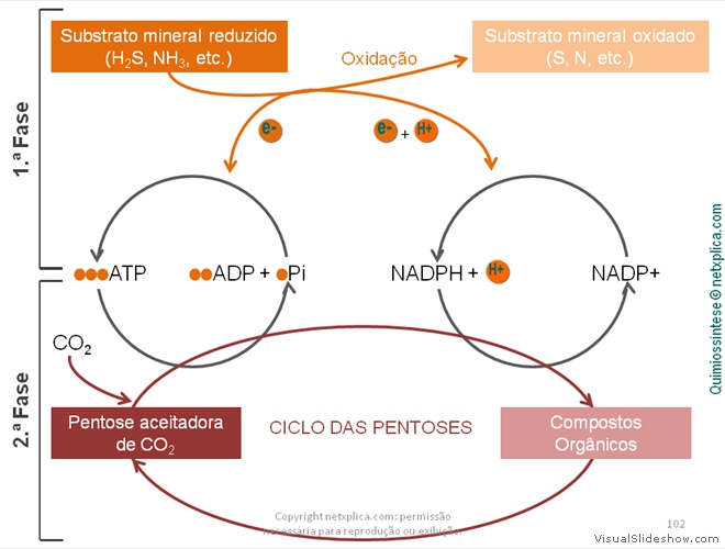 Diapositivo102