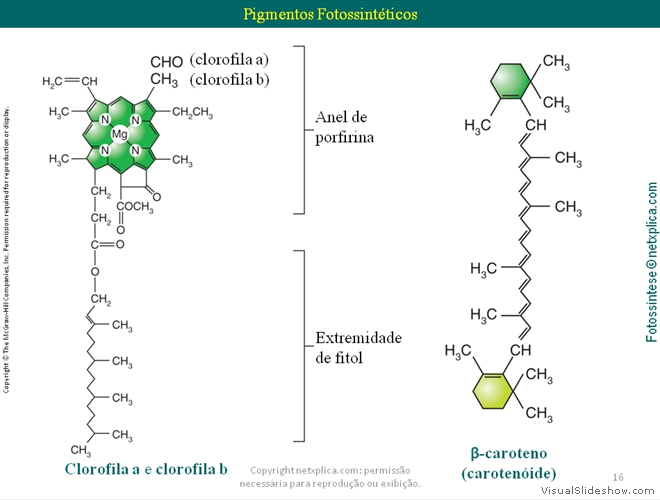 Diapositivo16