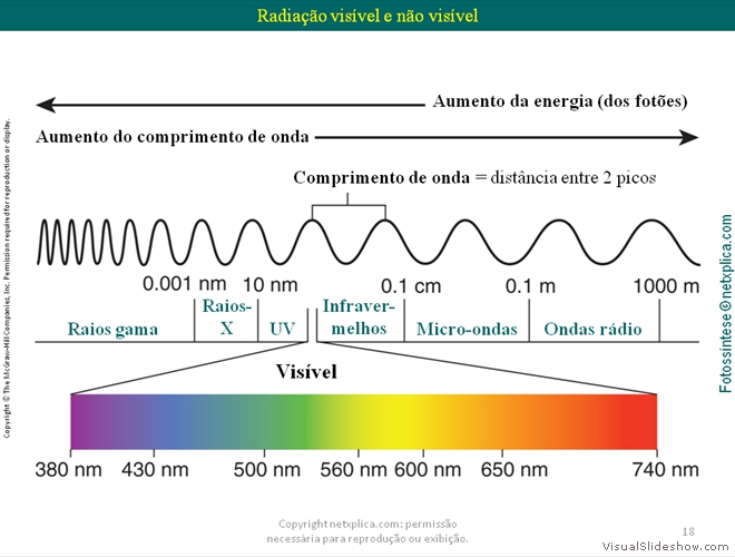 Diapositivo18