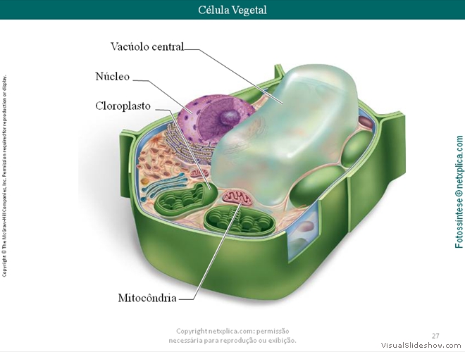 Diapositivo27