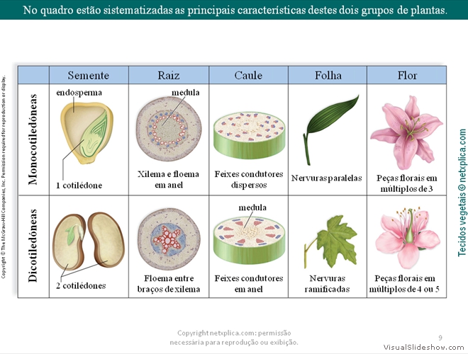 Diapositivo9