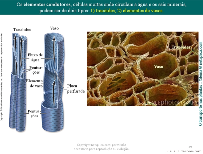 Diapositivo39