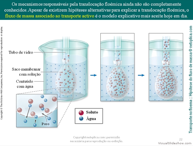 Diapositivo22