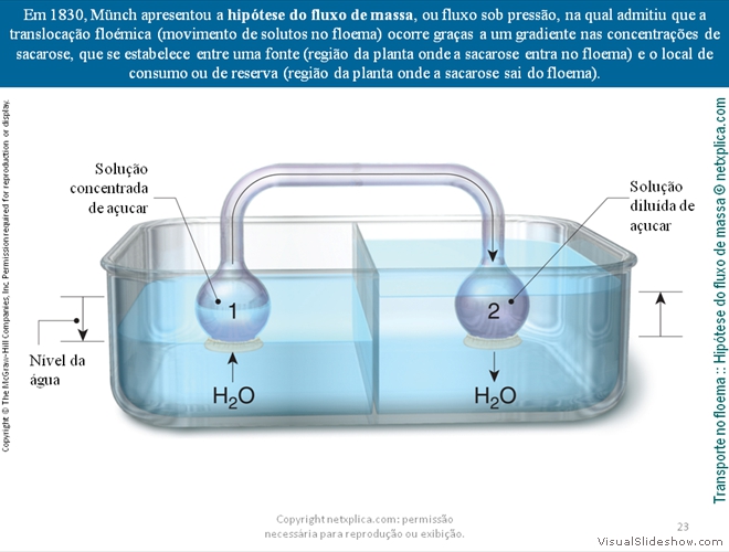 Diapositivo23