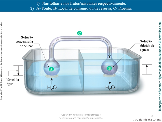 Diapositivo26