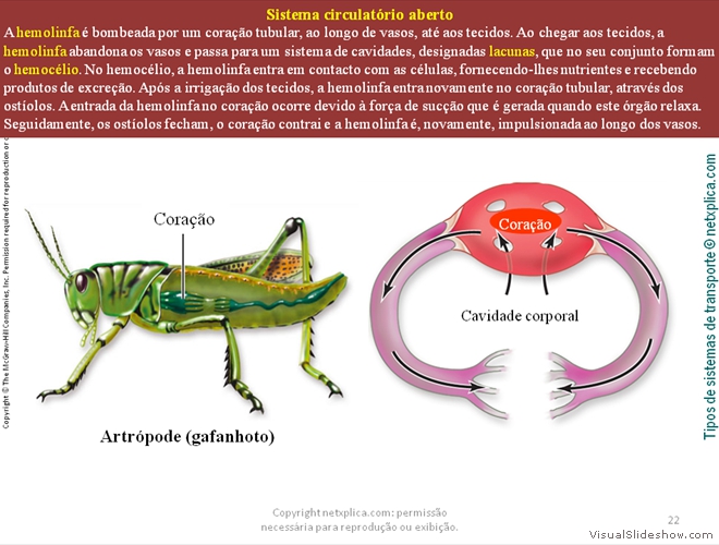 Diapositivo22