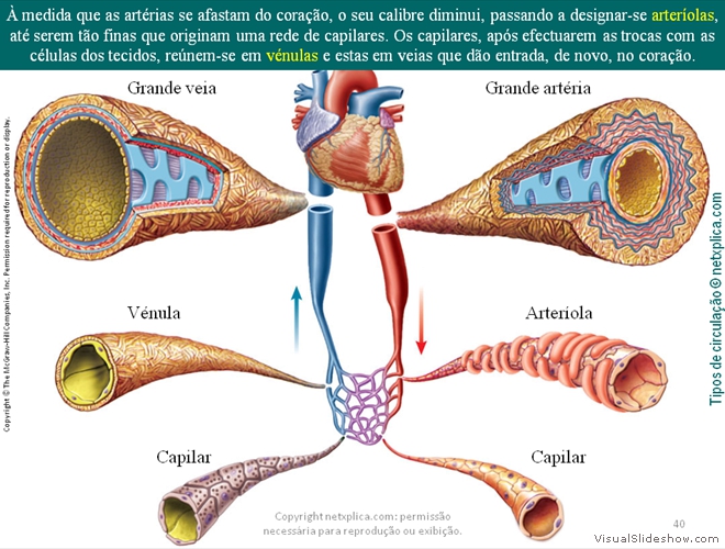 Diapositivo40