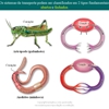 Diapositivo15