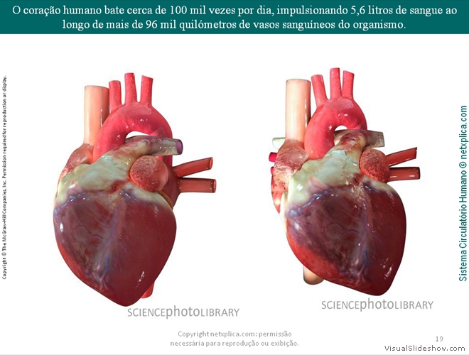 Diapositivo19