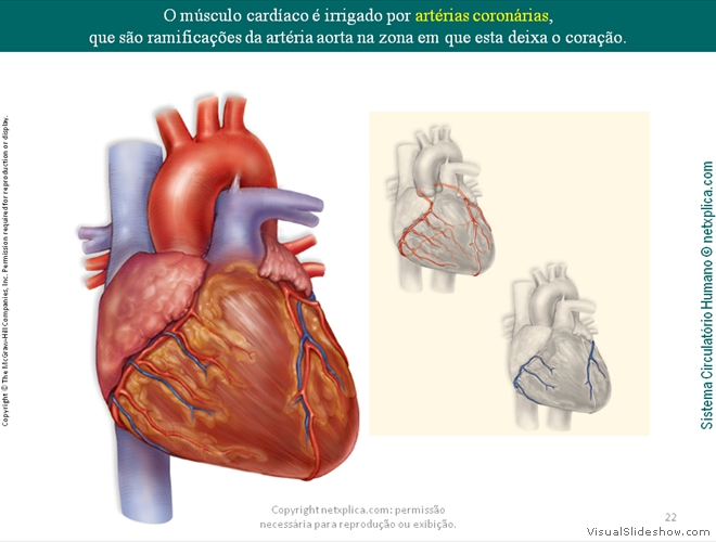 Diapositivo22