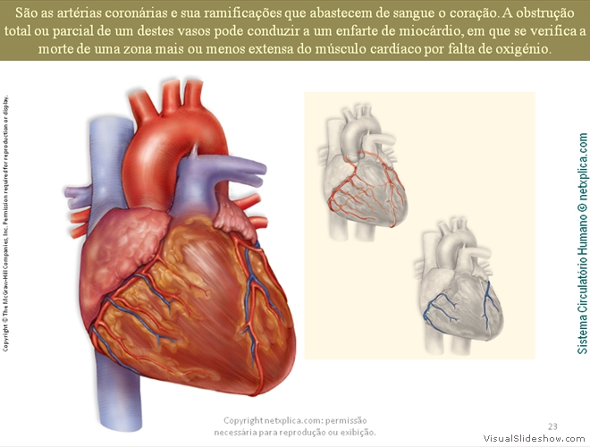 Diapositivo23