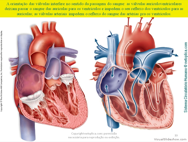 Diapositivo39