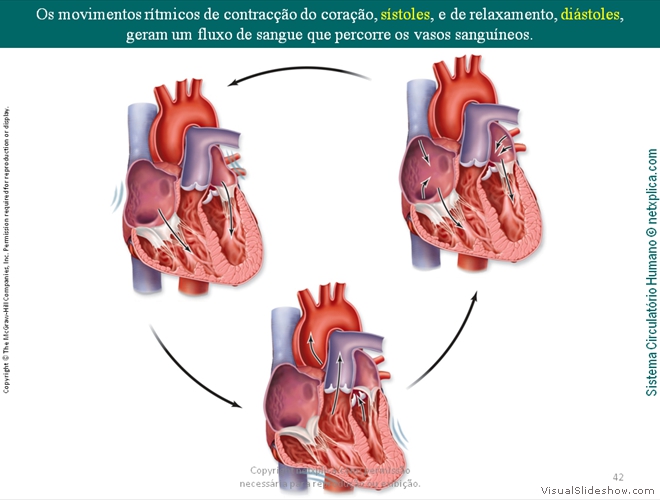 Diapositivo42