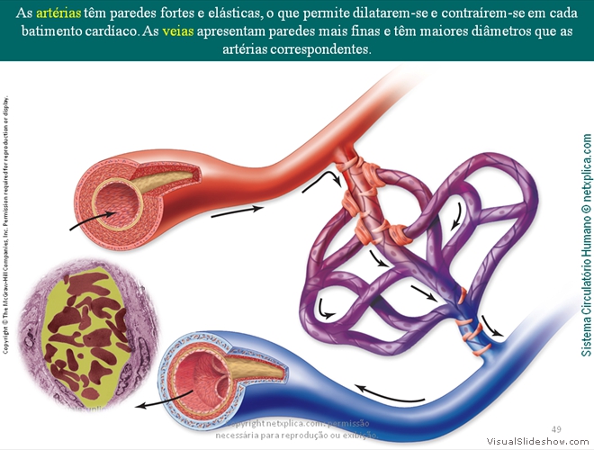 Diapositivo49