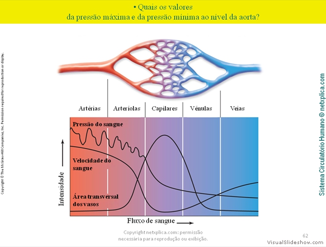 Diapositivo62