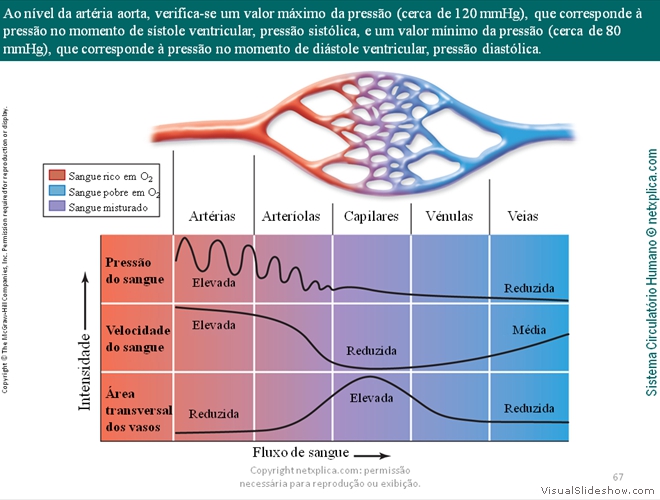 Diapositivo67