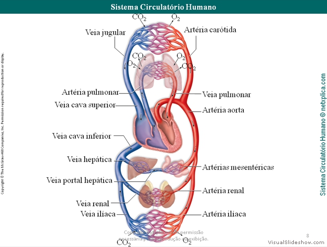 Diapositivo8