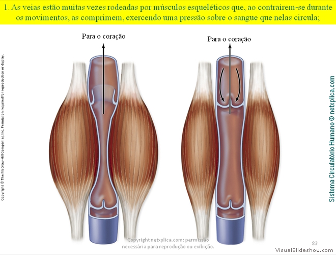 Diapositivo83