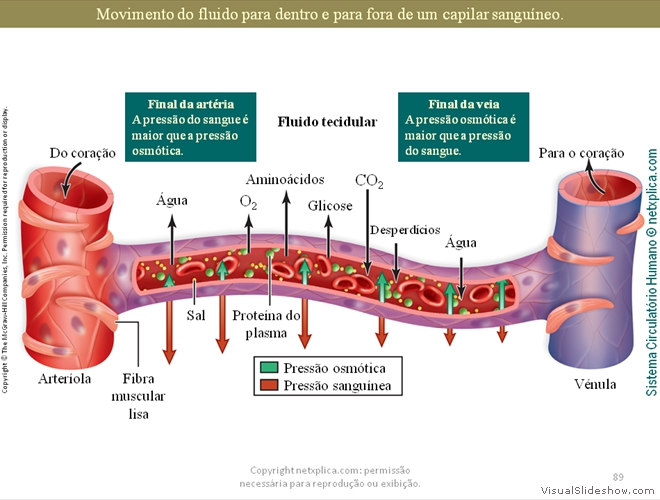 Diapositivo89