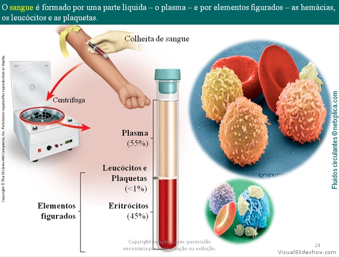 Diapositivo24