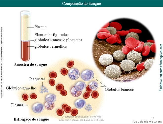 Diapositivo26