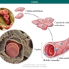 Diapositivo14