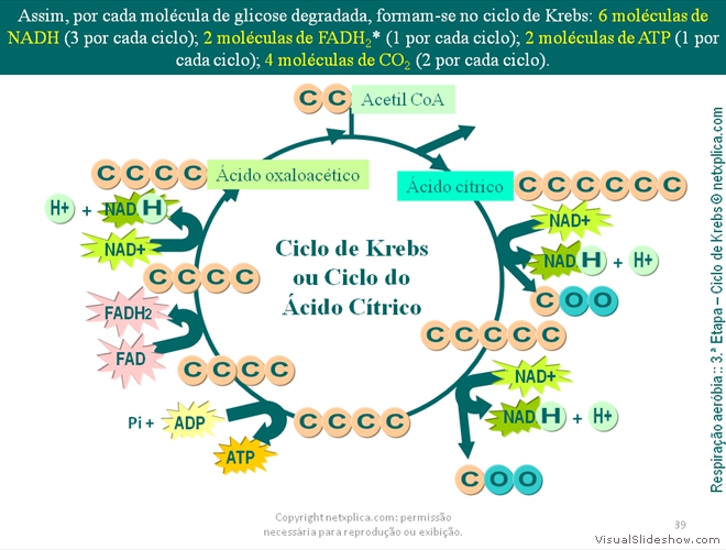 Diapositivo39