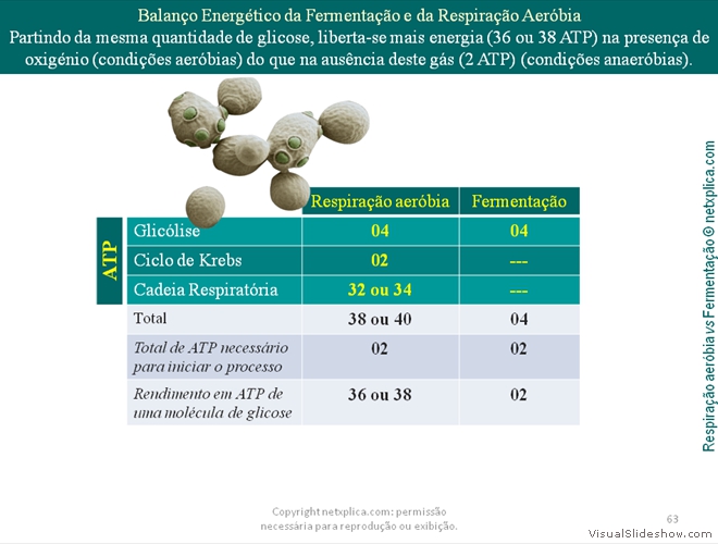 Diapositivo63