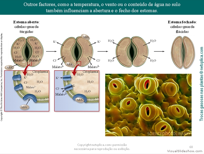 Diapositivo68