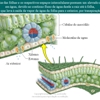 Diapositivo38