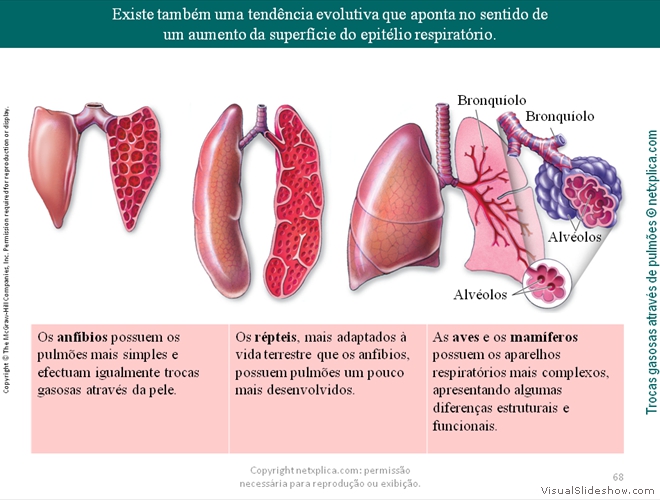 Diapositivo68