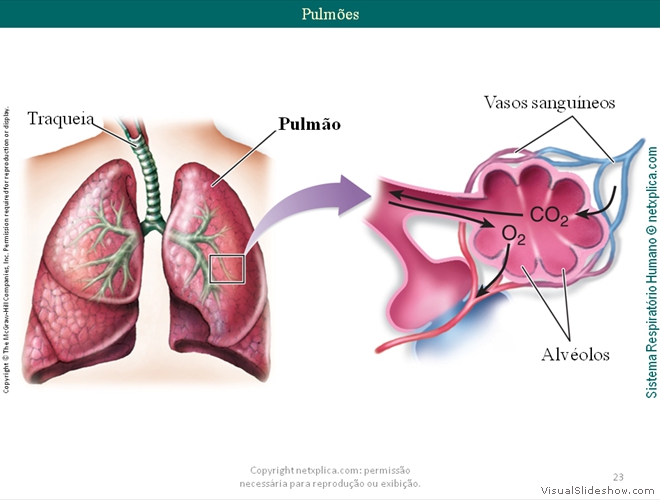 Diapositivo23