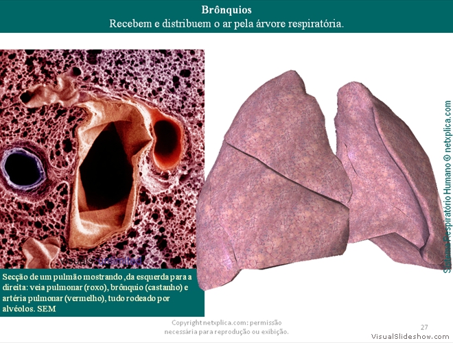 Diapositivo27