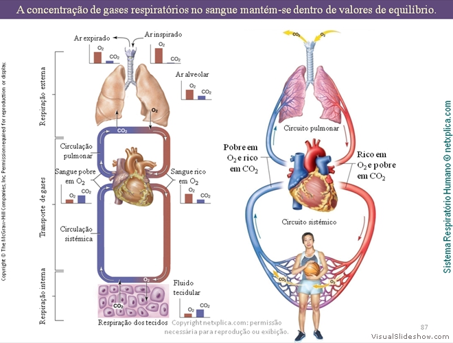 Diapositivo87