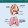 Diapositivo54